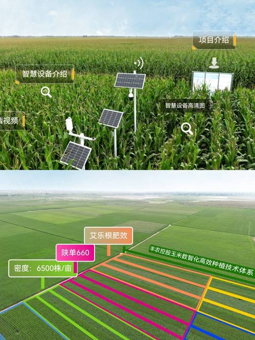 数字农业：农业现代化的新征程与新希望