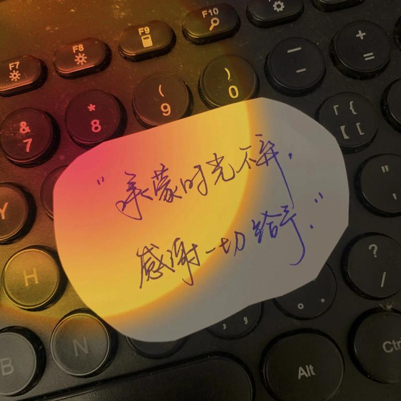 详细阅读:感恩生活 感恩生活