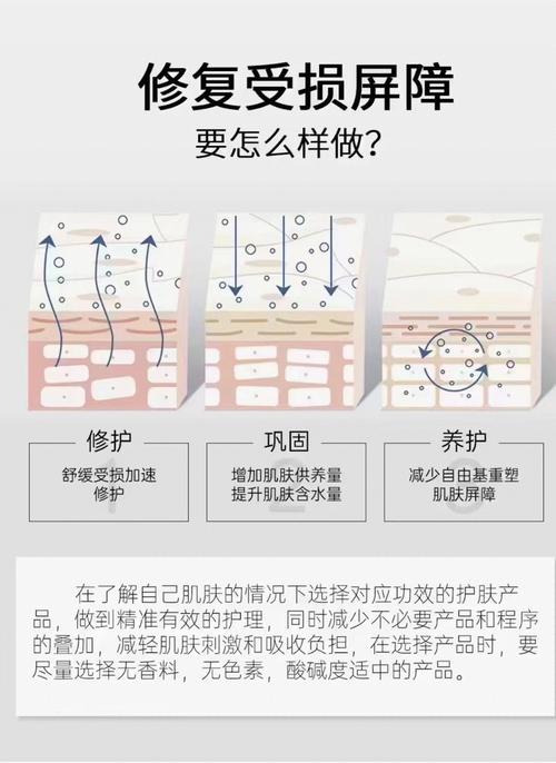 肌肤屏障：人体健康的第一道防线