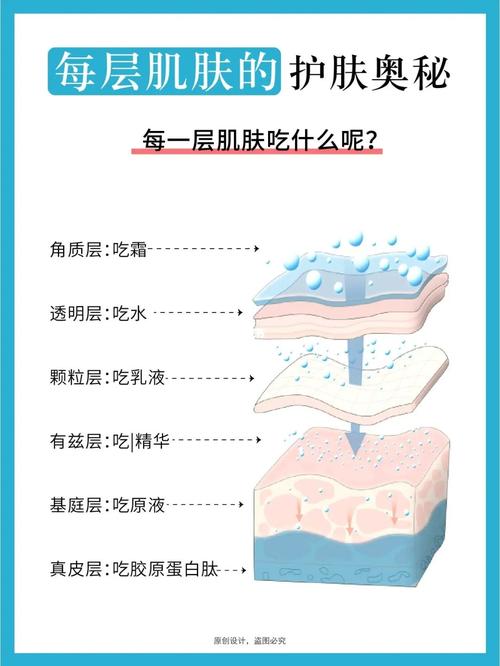 探寻肌肤吸收营养的奥秘：开启健康肌肤之门