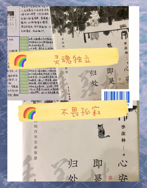 寻找归属感：心灵的栖息之所