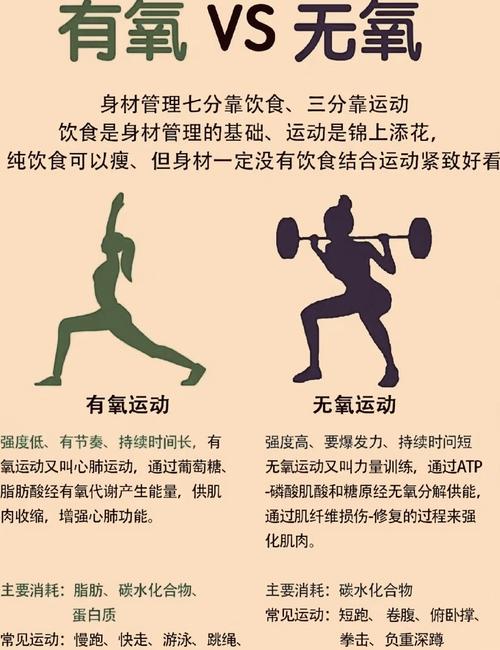 运动与营养吸收的关系：探寻身体能量的奥秘
