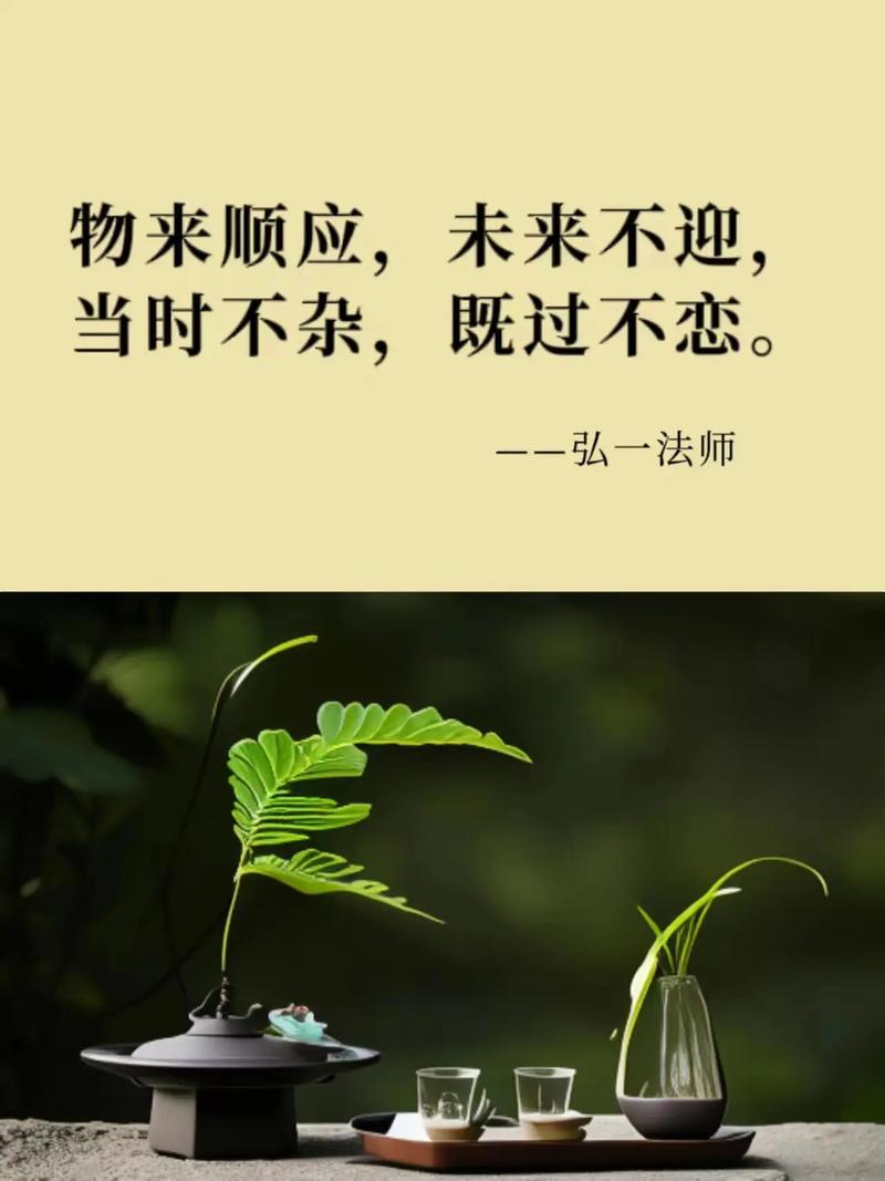 理智感的多面体现：洞察生活中的智慧之光