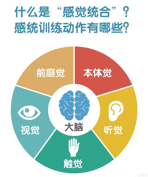 运动与身体空间感知能力的关系
