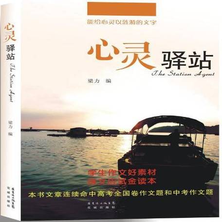 心灵驿站：在情感的漩涡中寻得宁静与力量