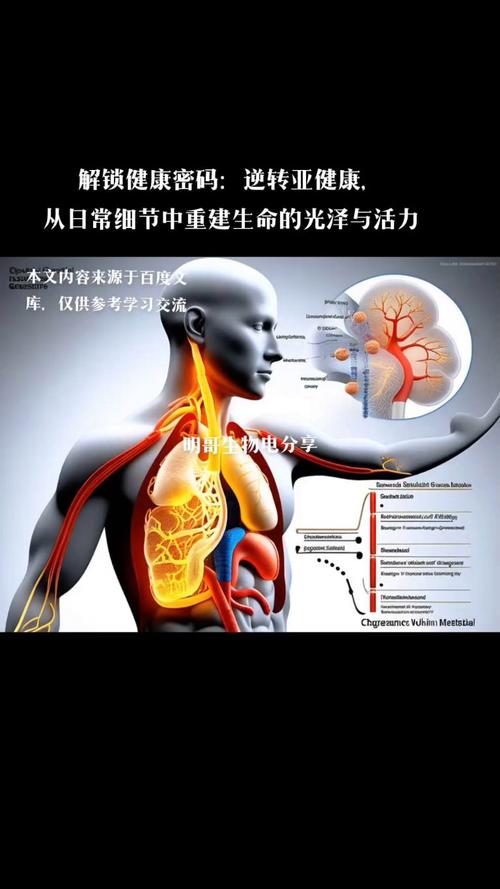 身体肌肤活力：解锁健康与美丽的密码