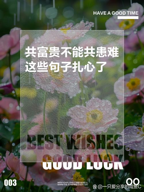 恋爱磨合：一场爱的修行，携手共赴幸福彼岸