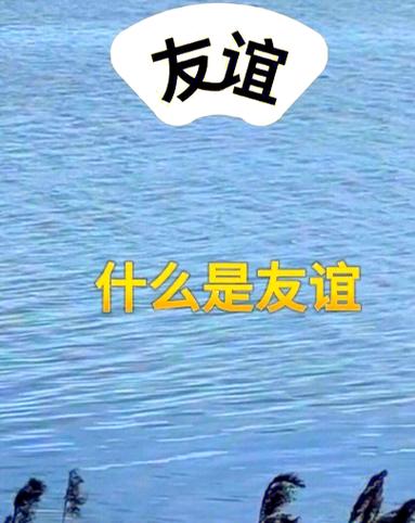 朋友：生命中最珍贵的宝藏