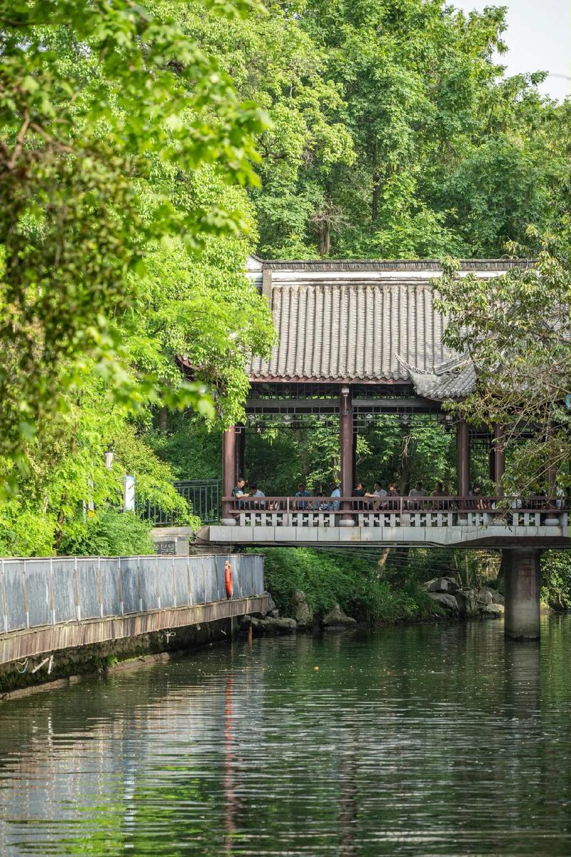 浣花溪公园：自然与人文交织的城市绿洲