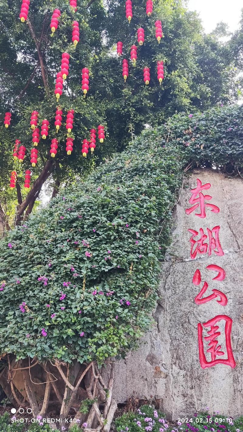 深圳东湖公园：城市绿肺，休闲胜地