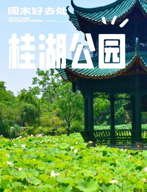 探秘桂湖公园：历史与现代交融的璀璨明珠