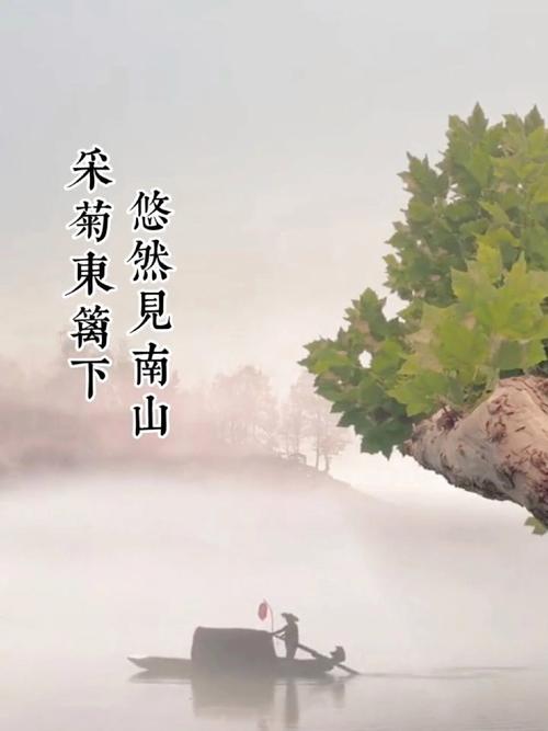 东篱菊园：岁月深处的悠然诗意