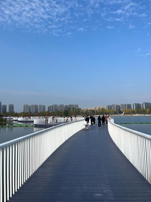 玉石湿地公园：城市绿肺中的璀璨明珠