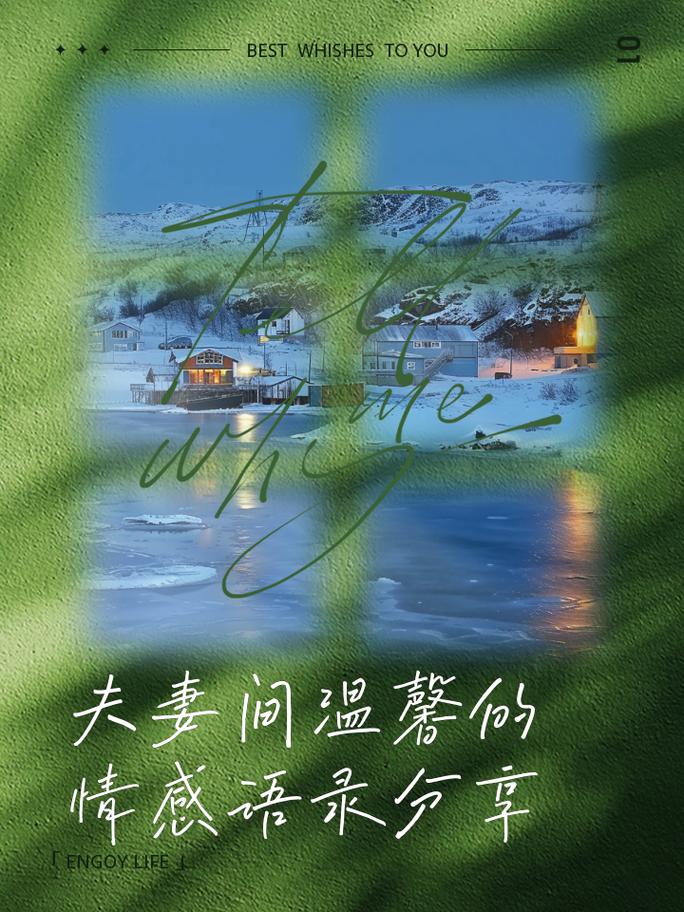 携手共进，情暖时光——情侣情感共鸣的深度探索