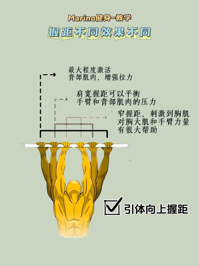 引体向上：锤炼上肢与核心的复合力量训练