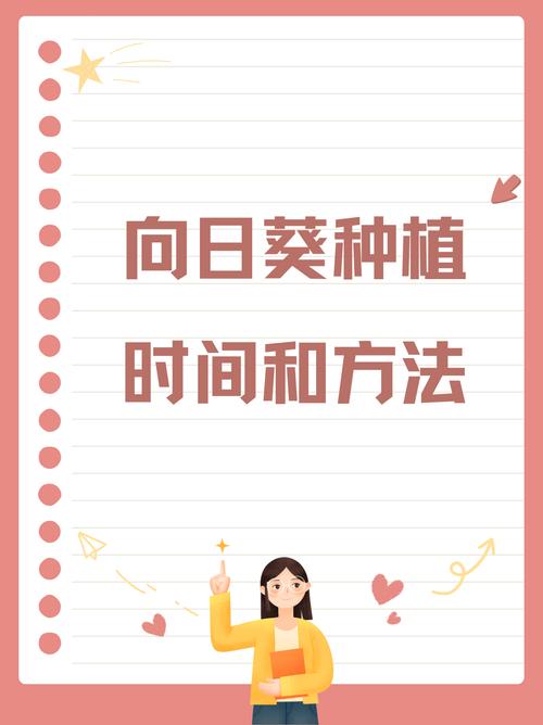 向日葵种植全攻略：从播种到收获的奇妙之旅