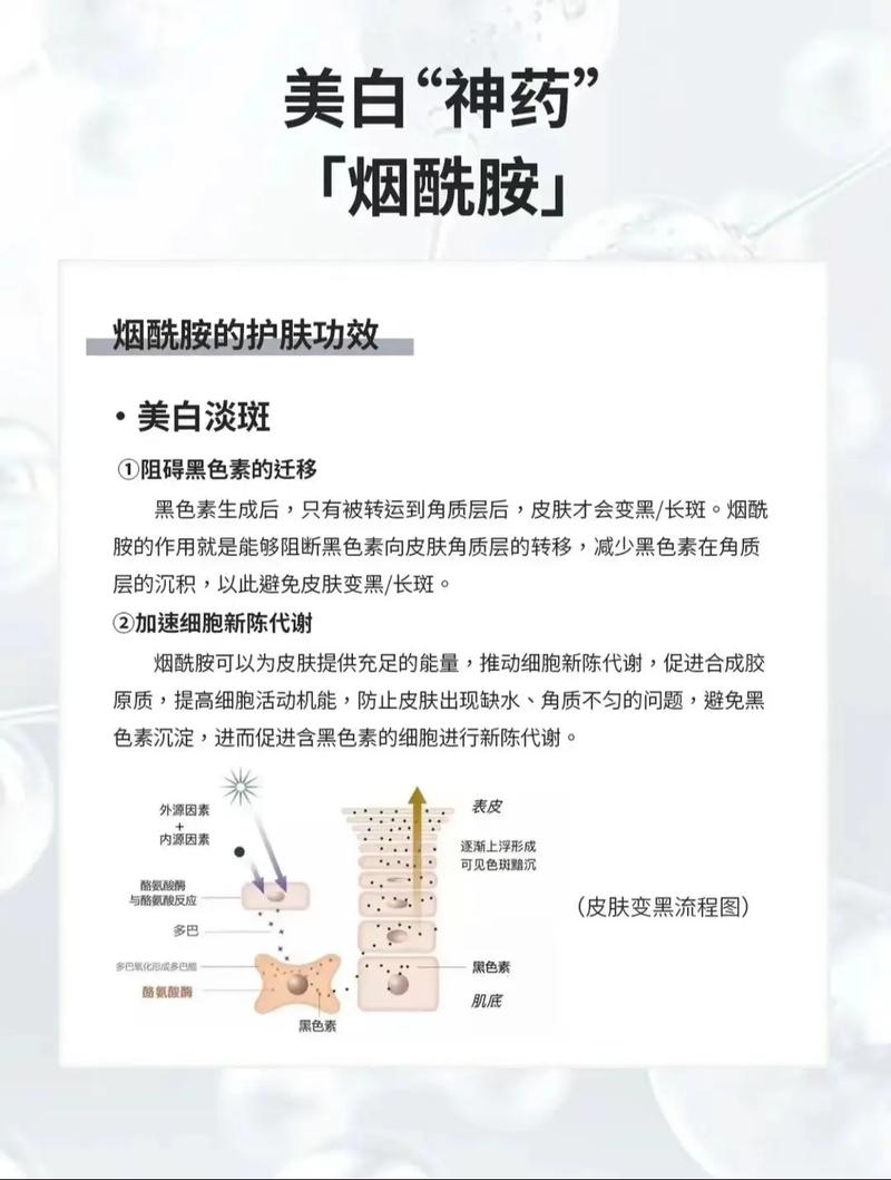 烟酰胺美白提亮：全方位解析肌肤焕白密码