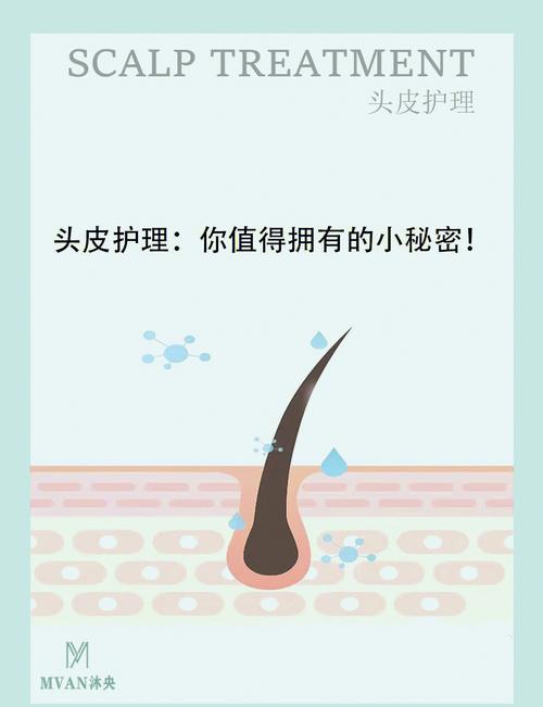 全面解析头发护理方法，让你的秀发焕发光彩