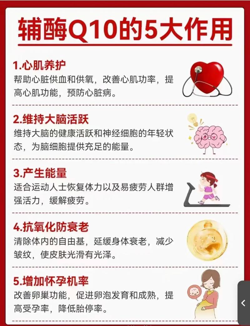 辅酶Q10——重燃生命活力之源