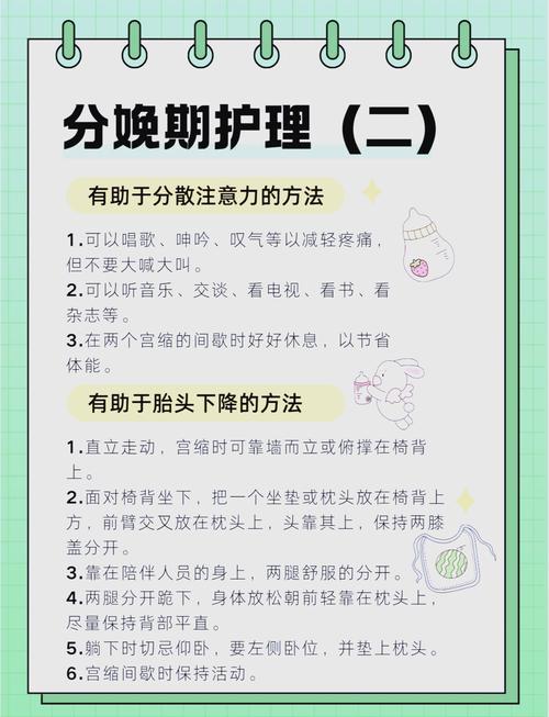 产后护理与宝宝护理全攻略：新手妈妈的必修课