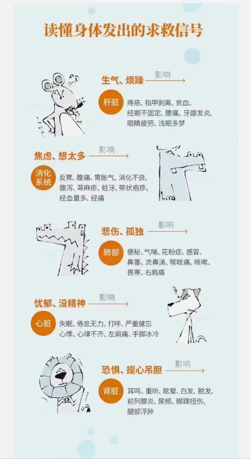 从症状洞察身体的秘密：常见病症的解读与应对