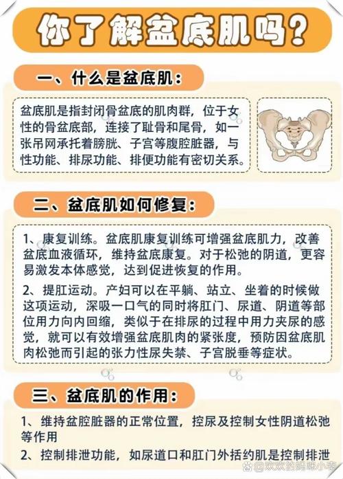 产后护理与盆底肌修复全攻略