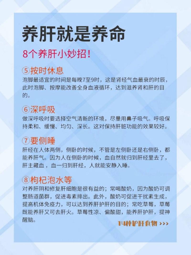 肝功能：人体健康的重要“化工厂”守护者