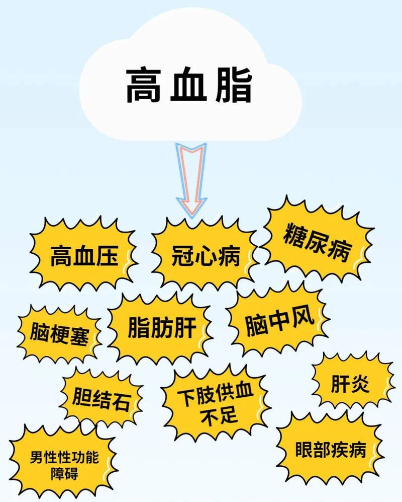 血脂：生命之河中的“油”与“脂”