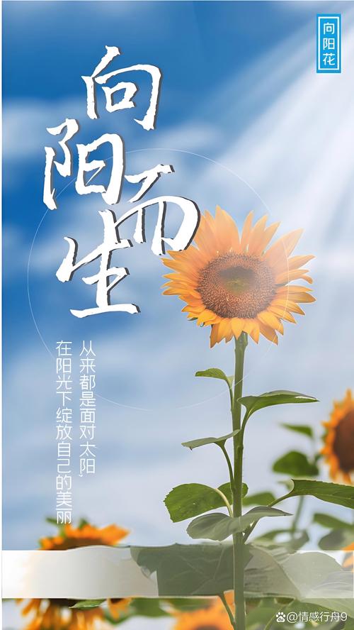乐观情绪培养：拥抱生活的阳光，开启心灵幸福之旅