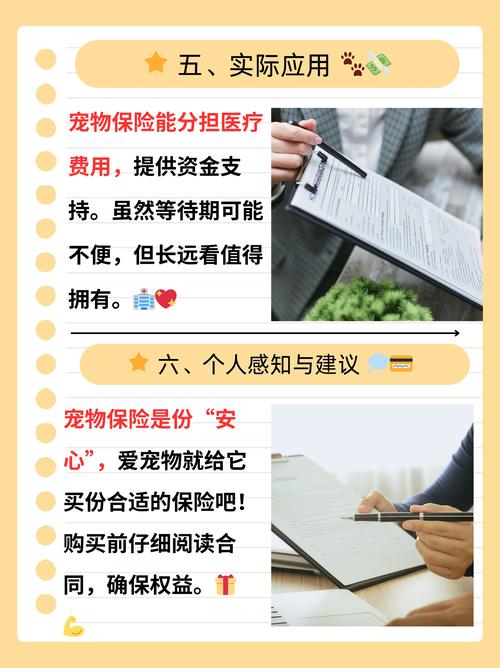详细阅读:宠物保险选购全攻略:给毛孩子的贴心保障 宠物保险选购全攻略:给毛孩子的贴心保障