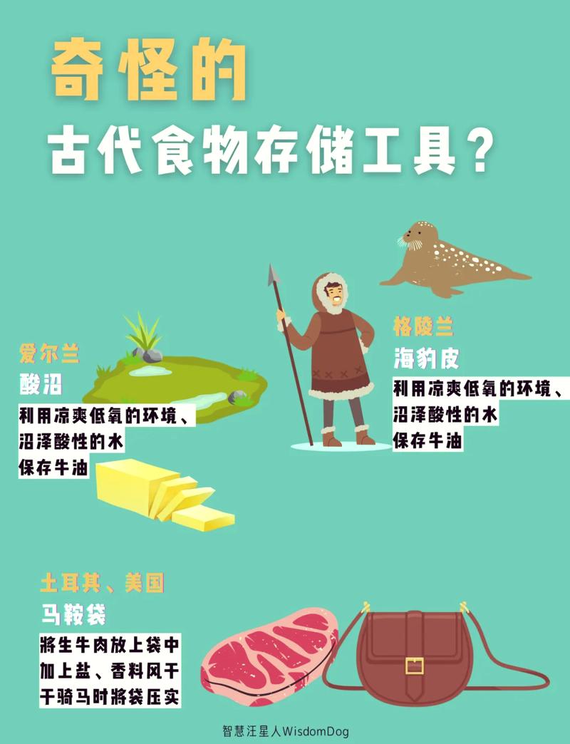 探寻食物储存便利性的奥秘：从传统到现代的多维解析