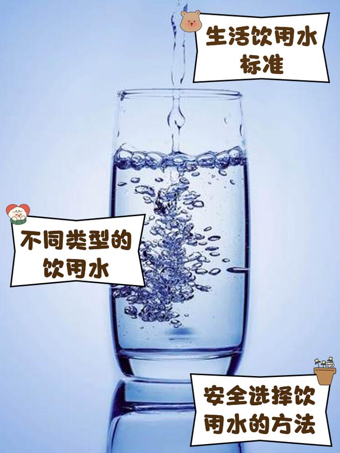 守护生命之源——饮用水纯净的多维解析与保障