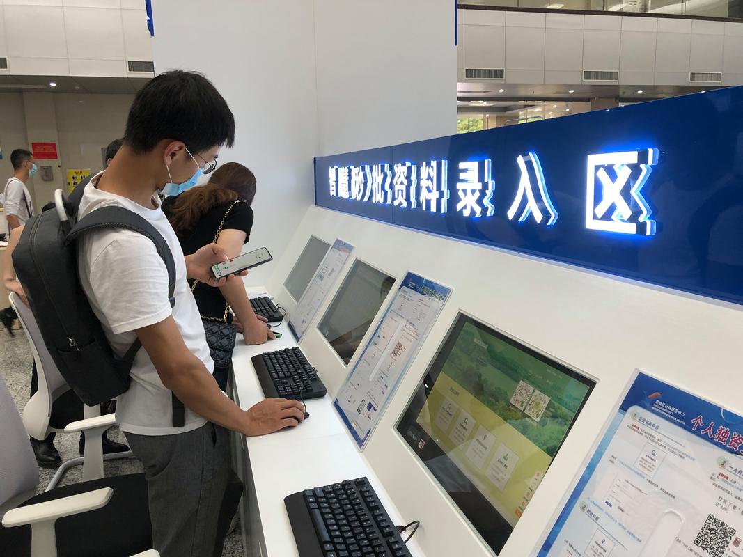 数字政府：开启政务服务新纪元