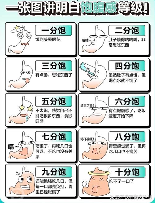 探索食物饱腹感优化的多元策略