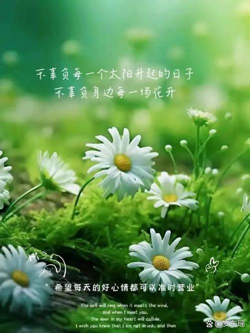 让正能量在心间绽放绚烂之花