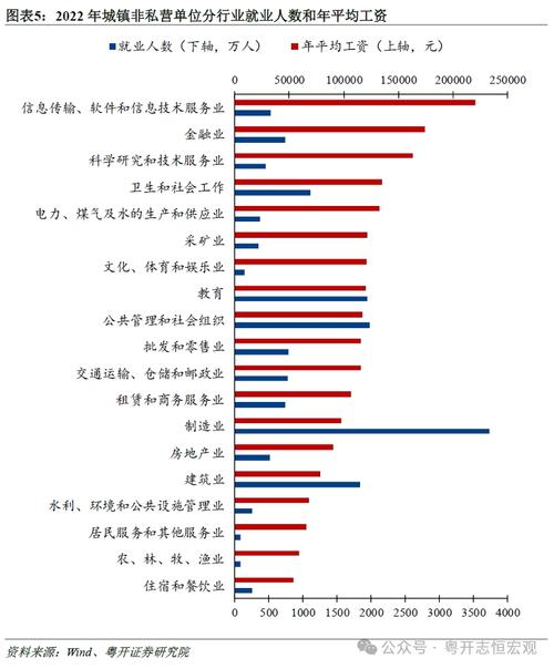 工资收入增长：多维度剖析与深远影响