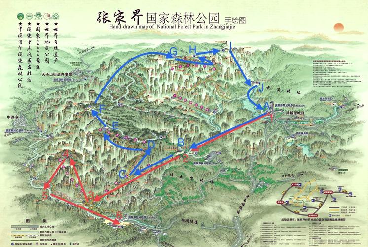 探秘森林，邂逅自然之美：一条绝佳的森林旅游线路