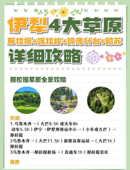 畅享草原风光，领略自然魅力——草原旅游项目全攻略