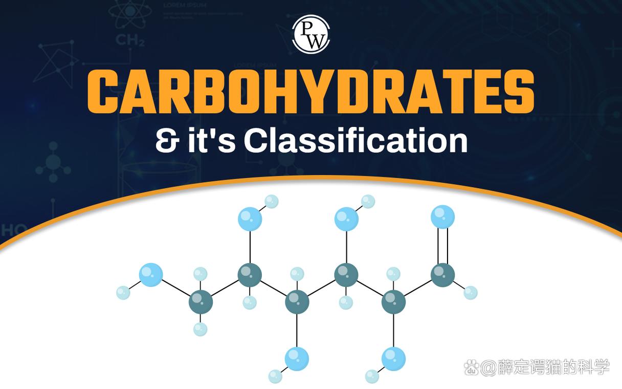 详细阅读:碳水化合物:生命的能量基石 碳水化合物:生命的能量基石