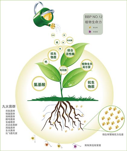 氨基酸：生命之源，不可或缺的营养基石