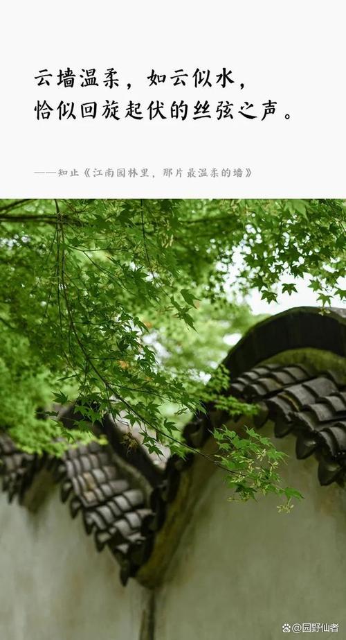 园艺创意：方寸之间，诗意栖居的绿色魔法