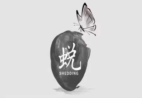 自信人生：破茧成蝶，绽放华彩