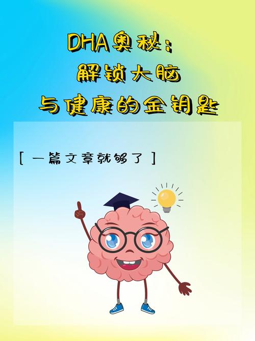 有氧运动：开启活力与健康之门的金钥匙