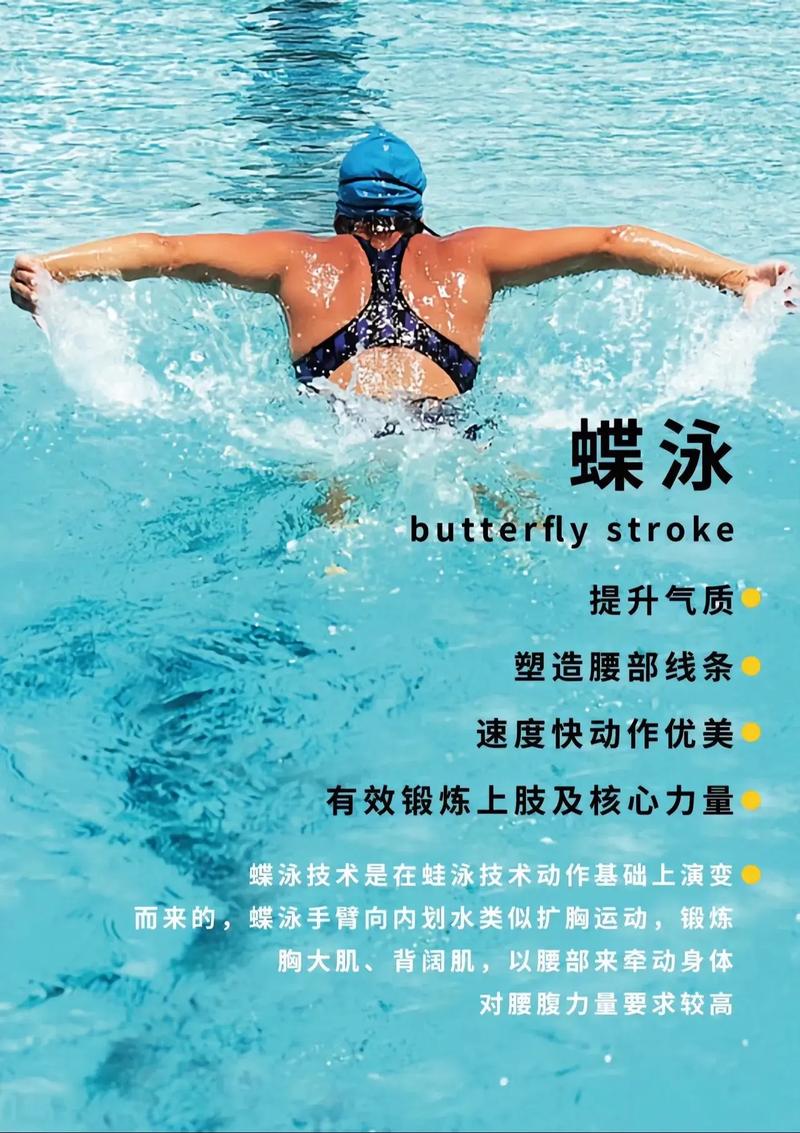 畅游自由泳：从入门到进阶的蓝色畅想
