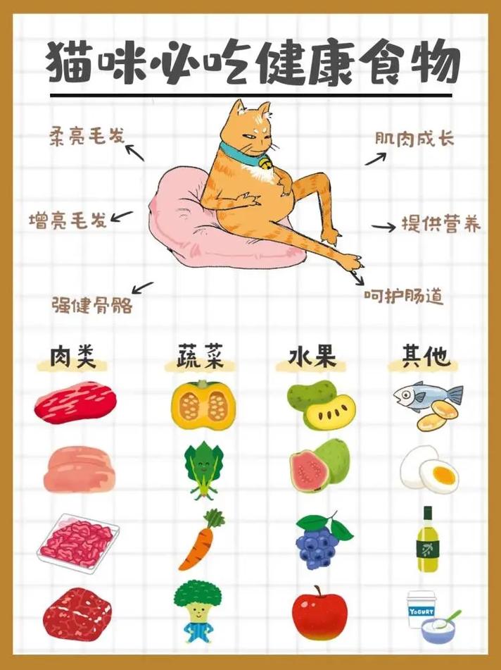 午餐不宜吃的食物大揭秘：守护健康，从饮食细节做起