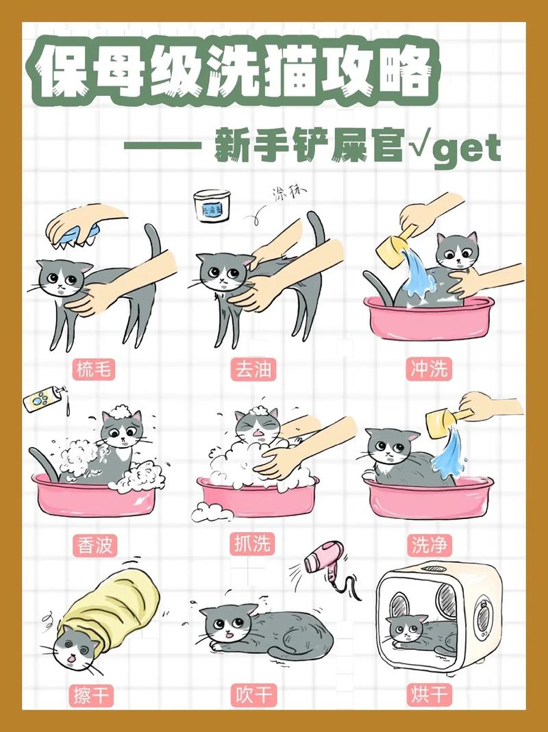 宠物清洁卫生全攻略，守护萌宠健康