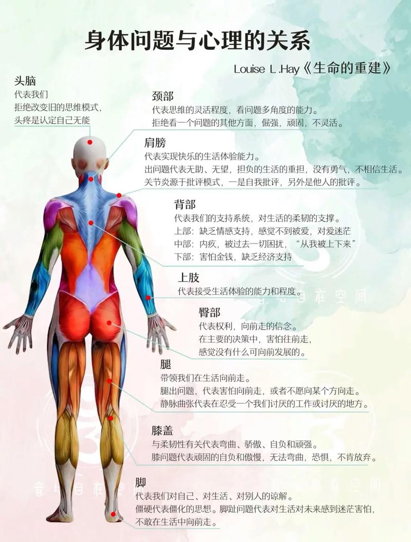 探索人体健康密码：从症状到根源的深度剖析