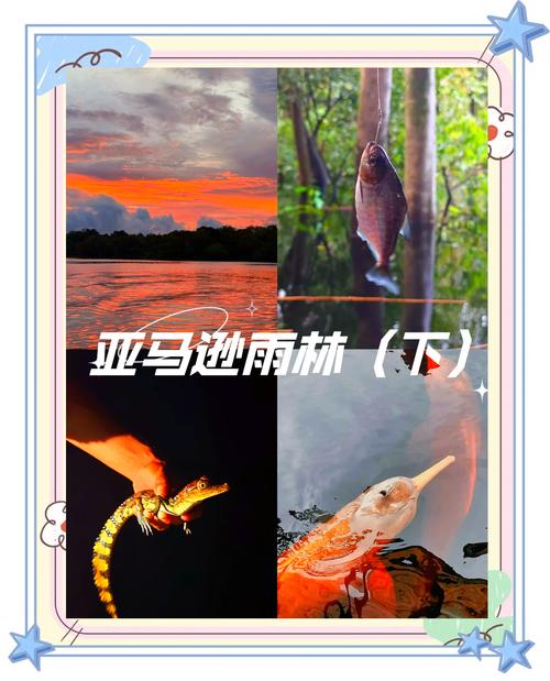 探秘古老雨林，邂逅奇幻之旅 | 雨林奇景大揭秘