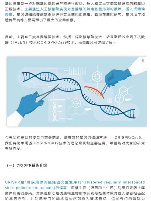 基因编辑技术：生命的改写之笔