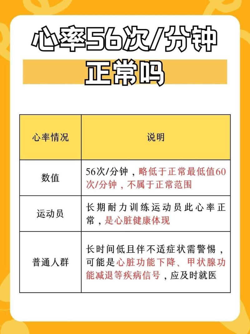 心率：生命的律动密码与健康指南